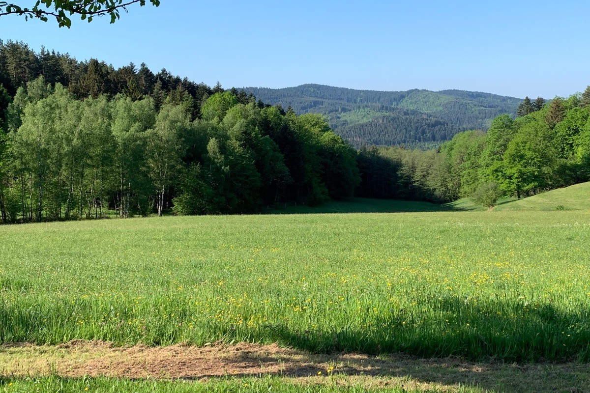 Les environs proches - Gite la Belle Vue