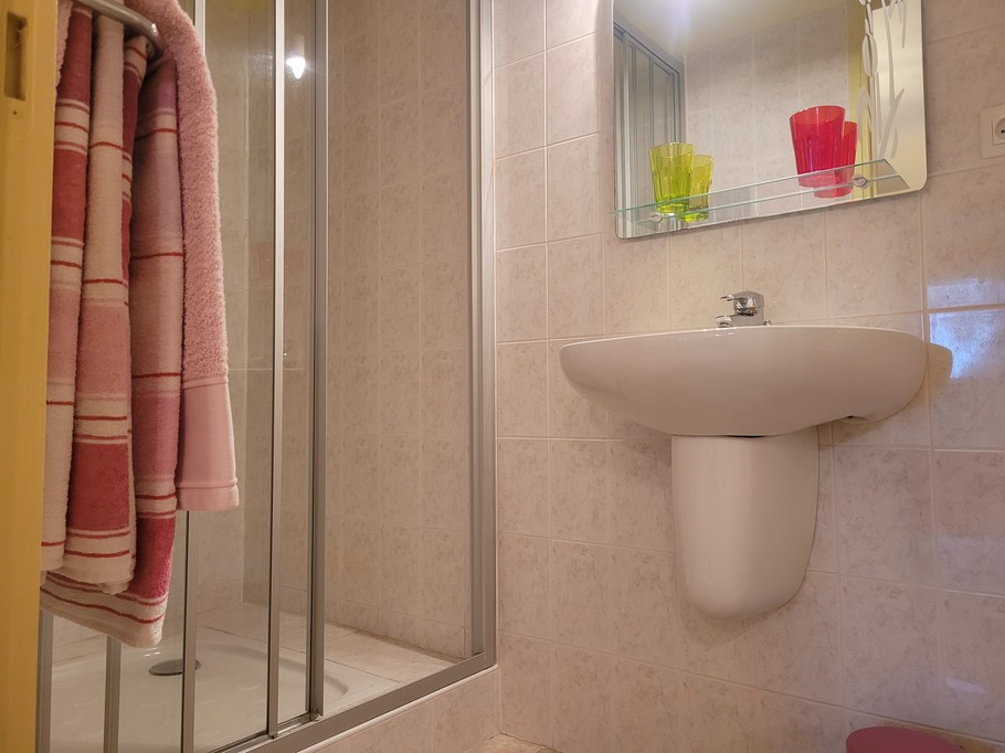 Salle d'eau de la chambre Hortensias avec douche et WC