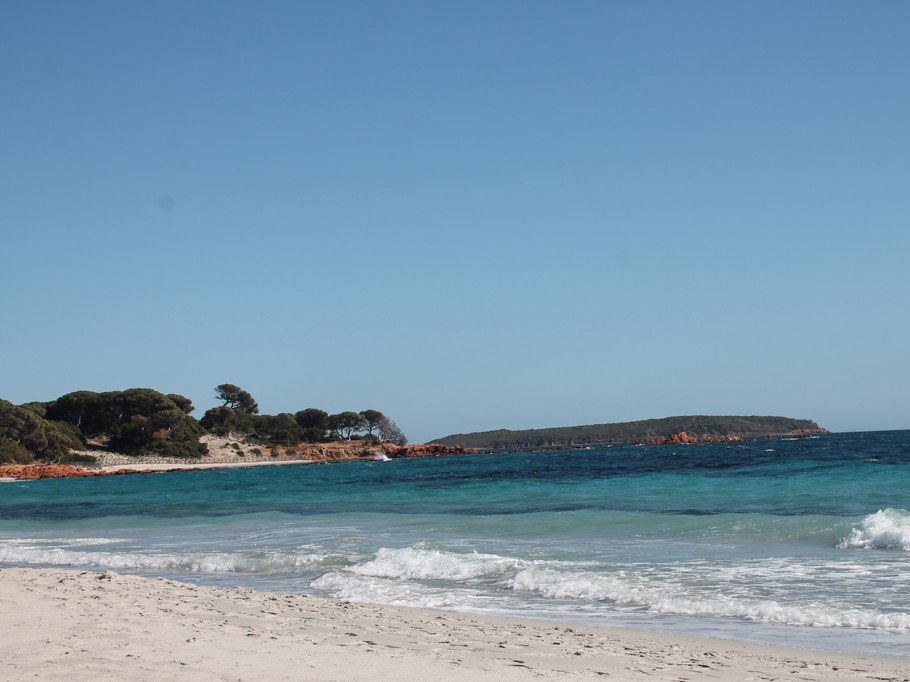 Les alentours: Palombaggia