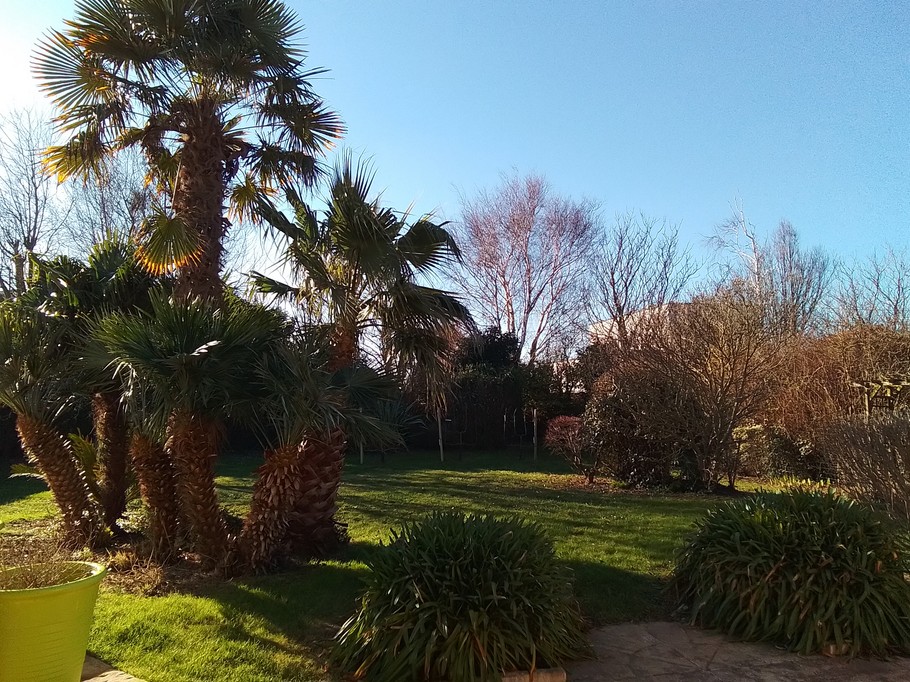 Exotic Garden