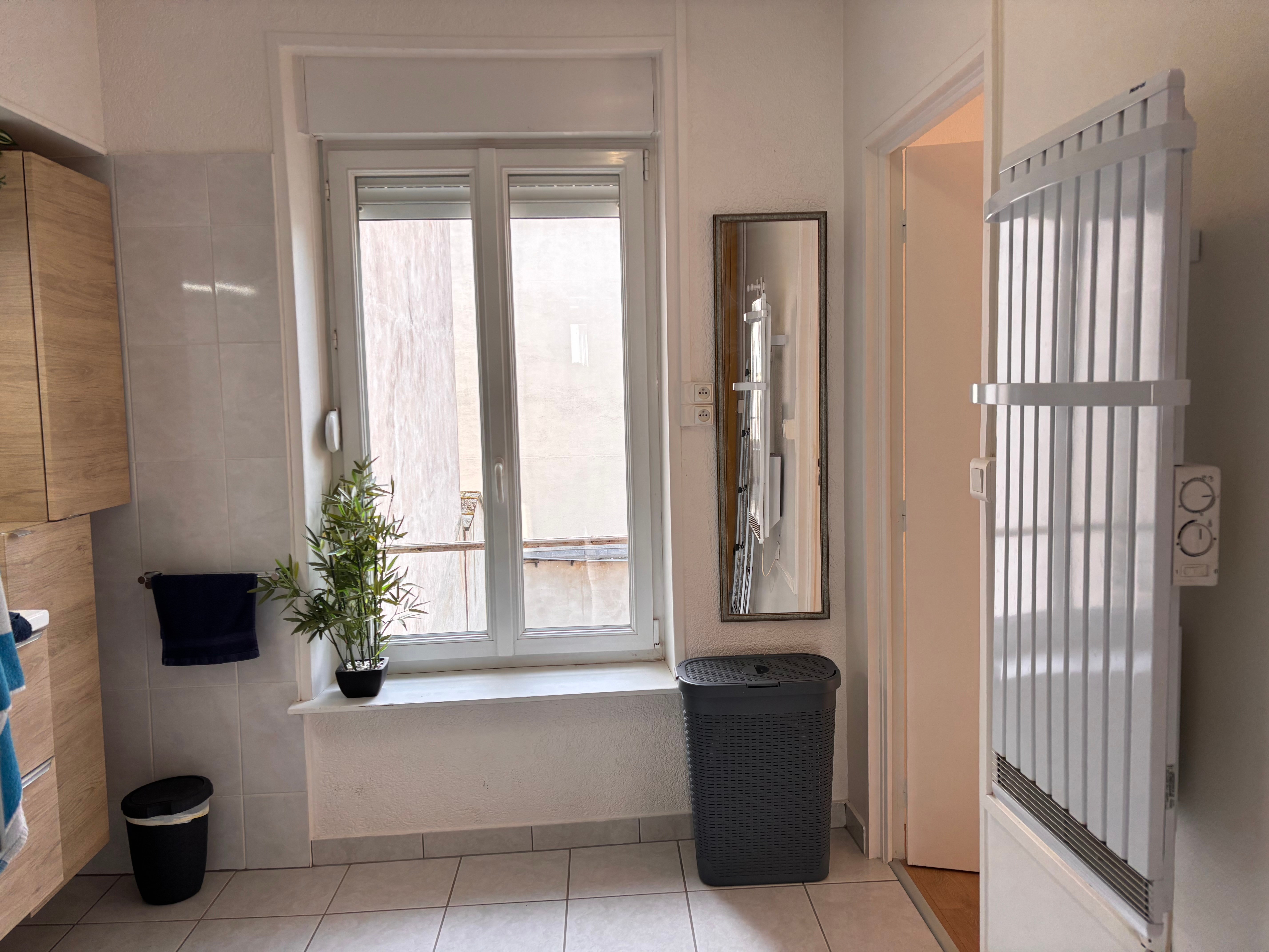 Salle d'eau spacieuse  - Le Nancy Téméraire - Nancy