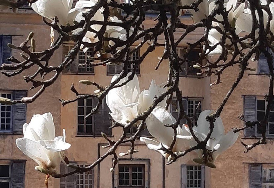 Photo n° 18 of the location