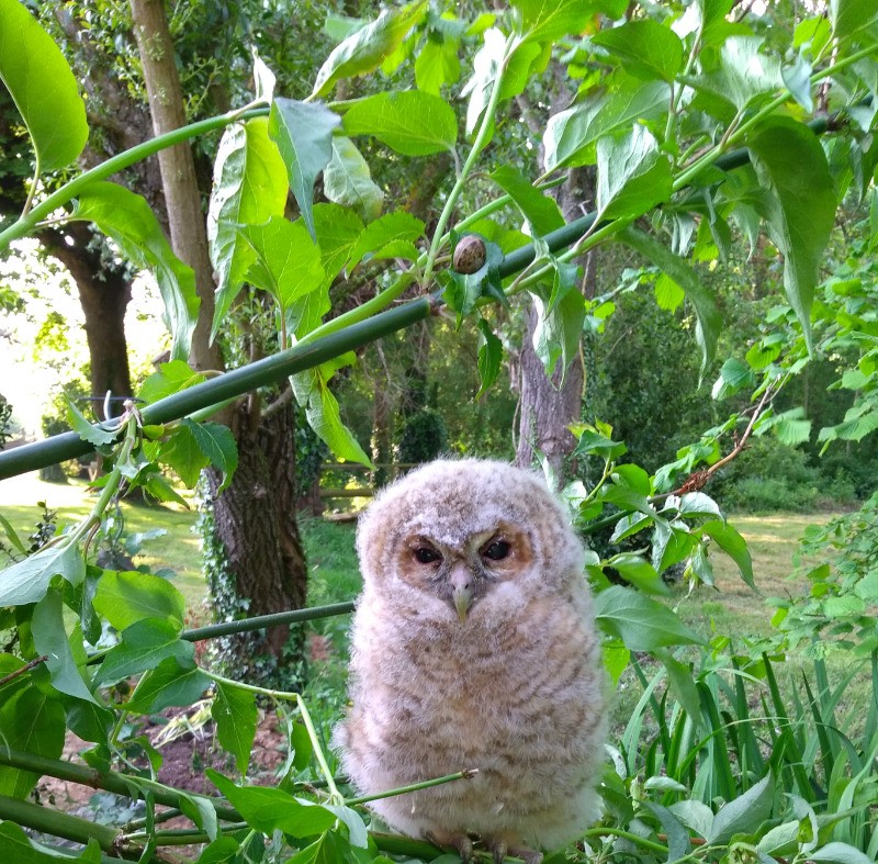 Photo n° 18 de la location