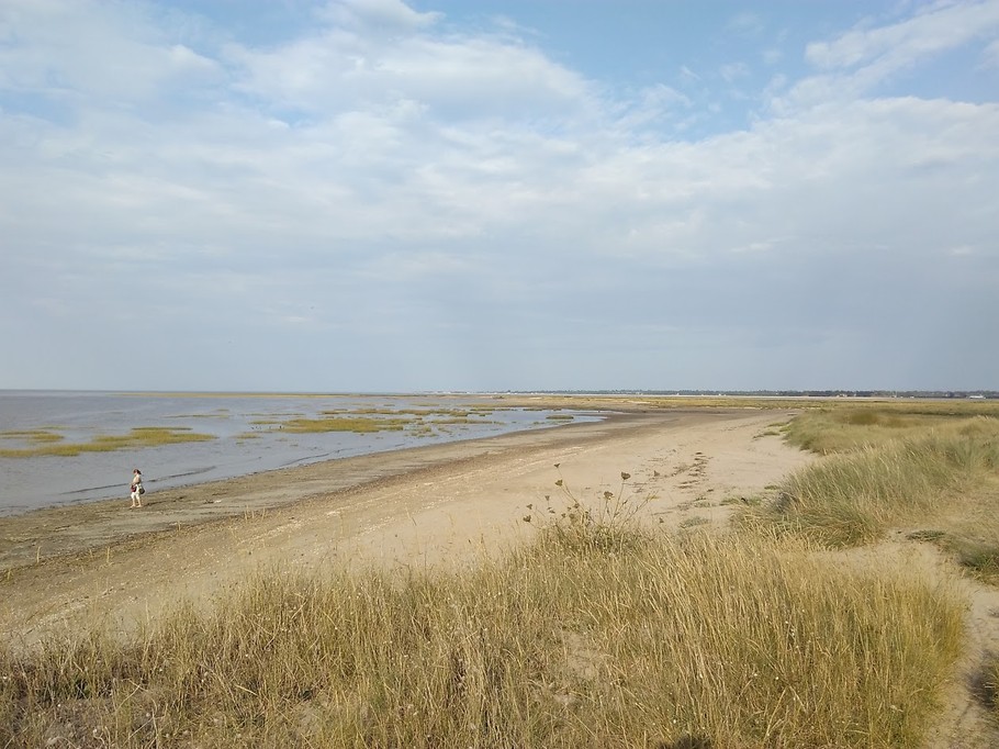 Photo n° 12 de la location