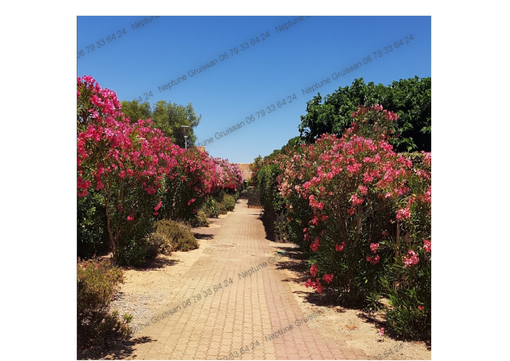 Photo n° 17 de la location