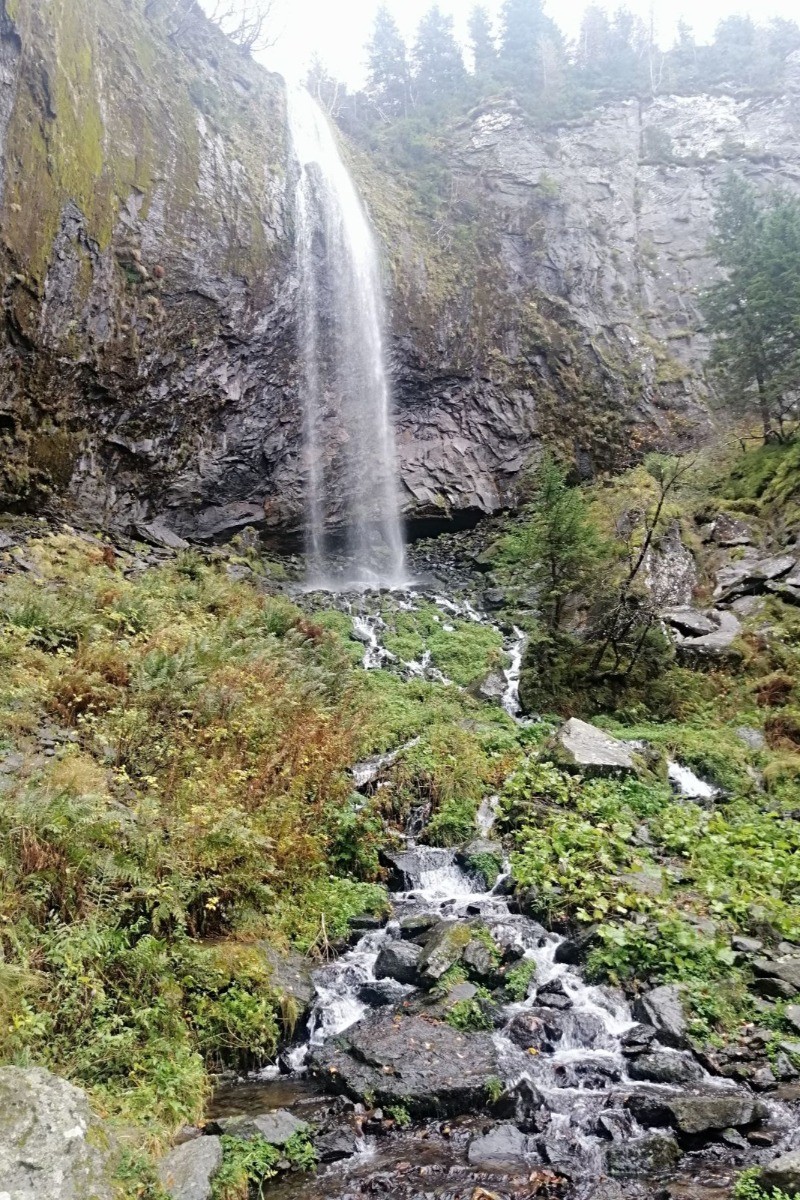 Le Nid douillet - Mont Dore - Cascade