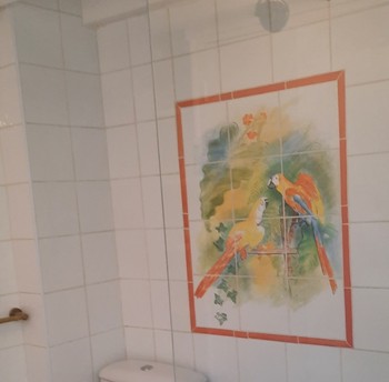 Douche à l'italienne et WC attenants à la chambre