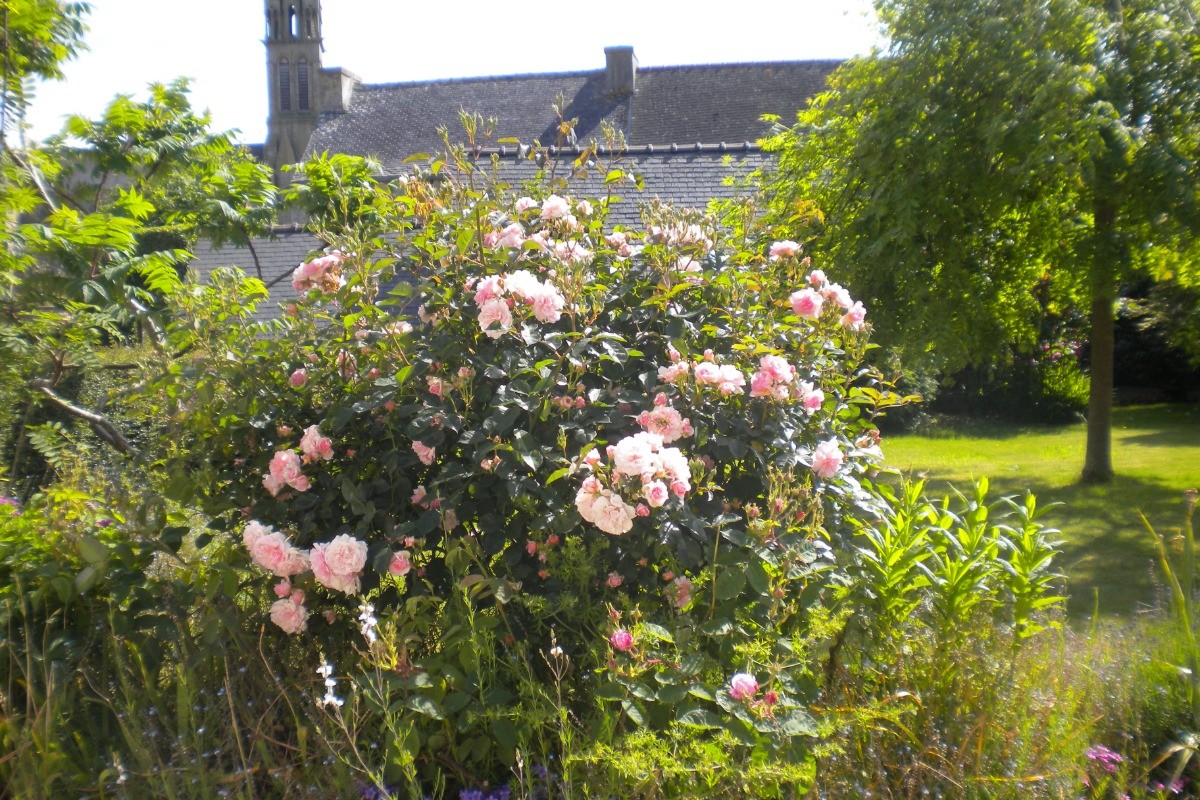 Jardin clos devant la maison