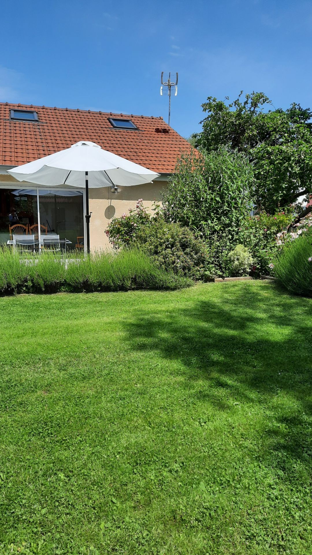 Photo n° 14 de la location