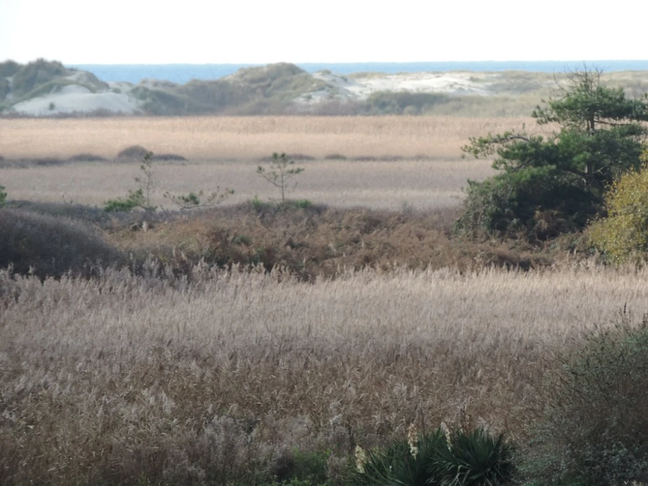 LA MER EN FACE DES GITES