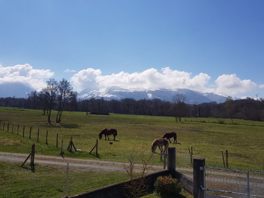 Photo n° 14 de la location