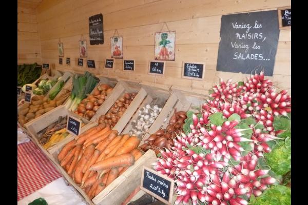 Dolmen et potager, vente directe de légumes bio sur la commune