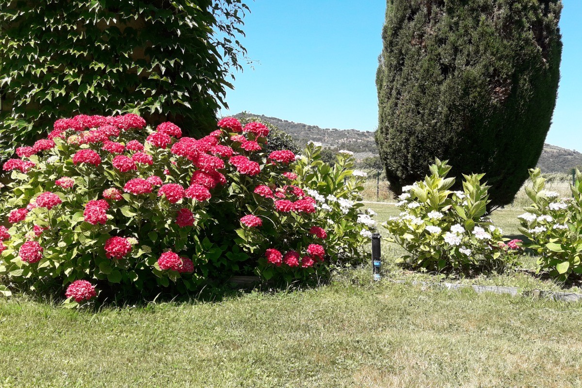 Jardins