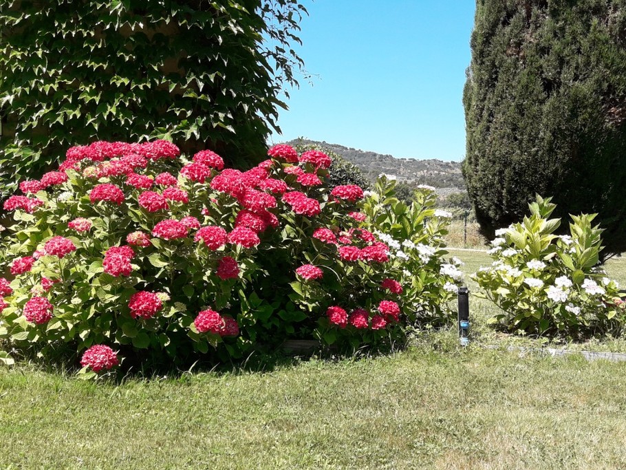 Jardins
