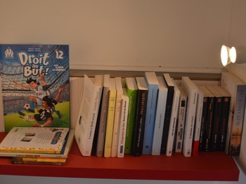 Bibliothèque - Maison Bleue pour 2 personnes, proche plages, Meschers sur Gironde près de Royan