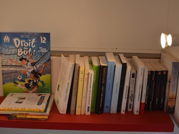 Bibliothèque - Maison Bleue pour 2 personnes, proche plages, Meschers sur Gironde près de Royan