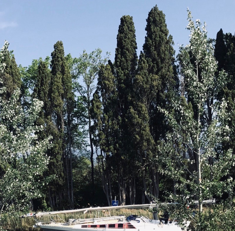 Photo n° 9 de la location