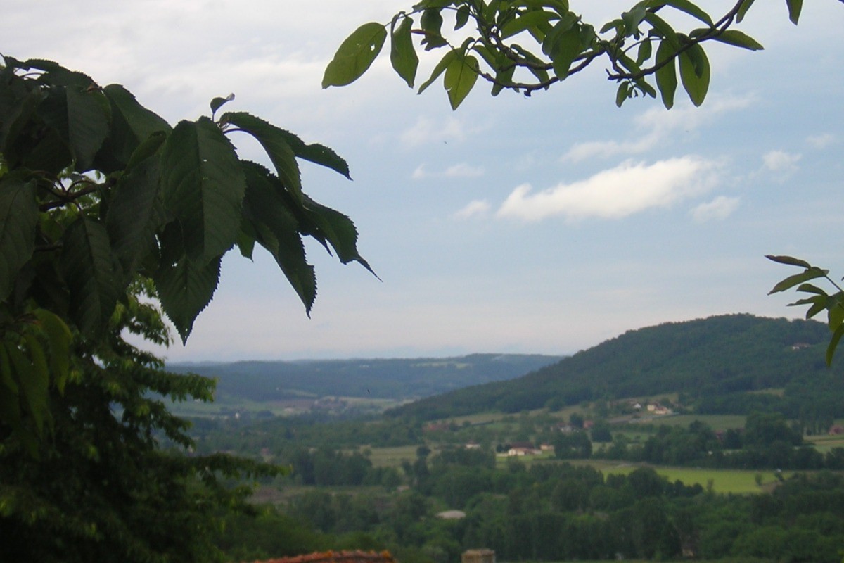 Vue