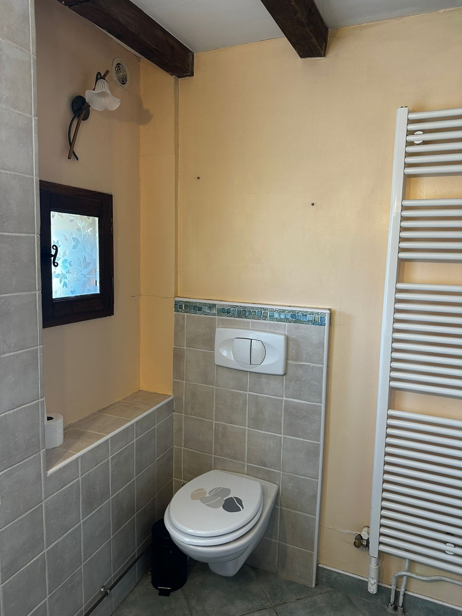 Lower bathroom WC