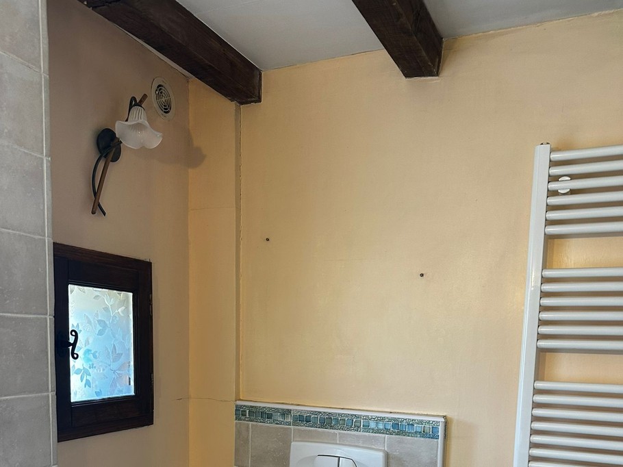 Lower bathroom WC