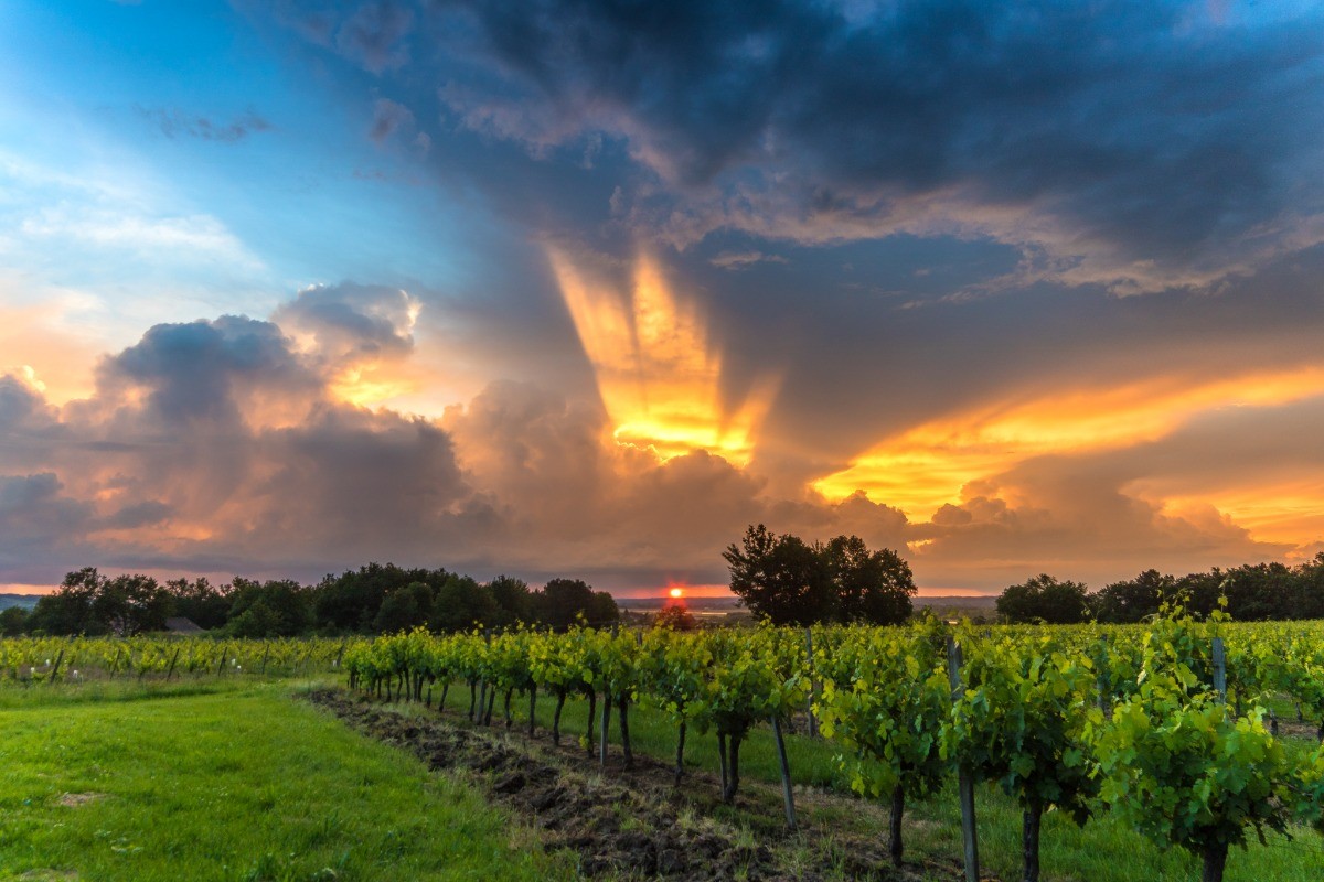 Photo n° 7 of the location