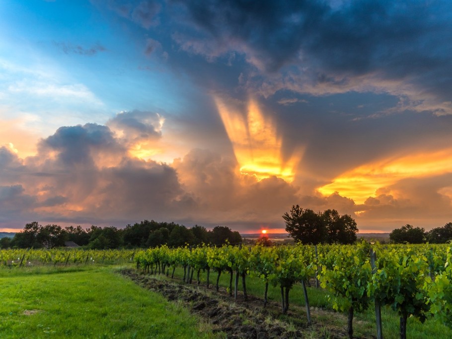 Photo n° 7 of the location