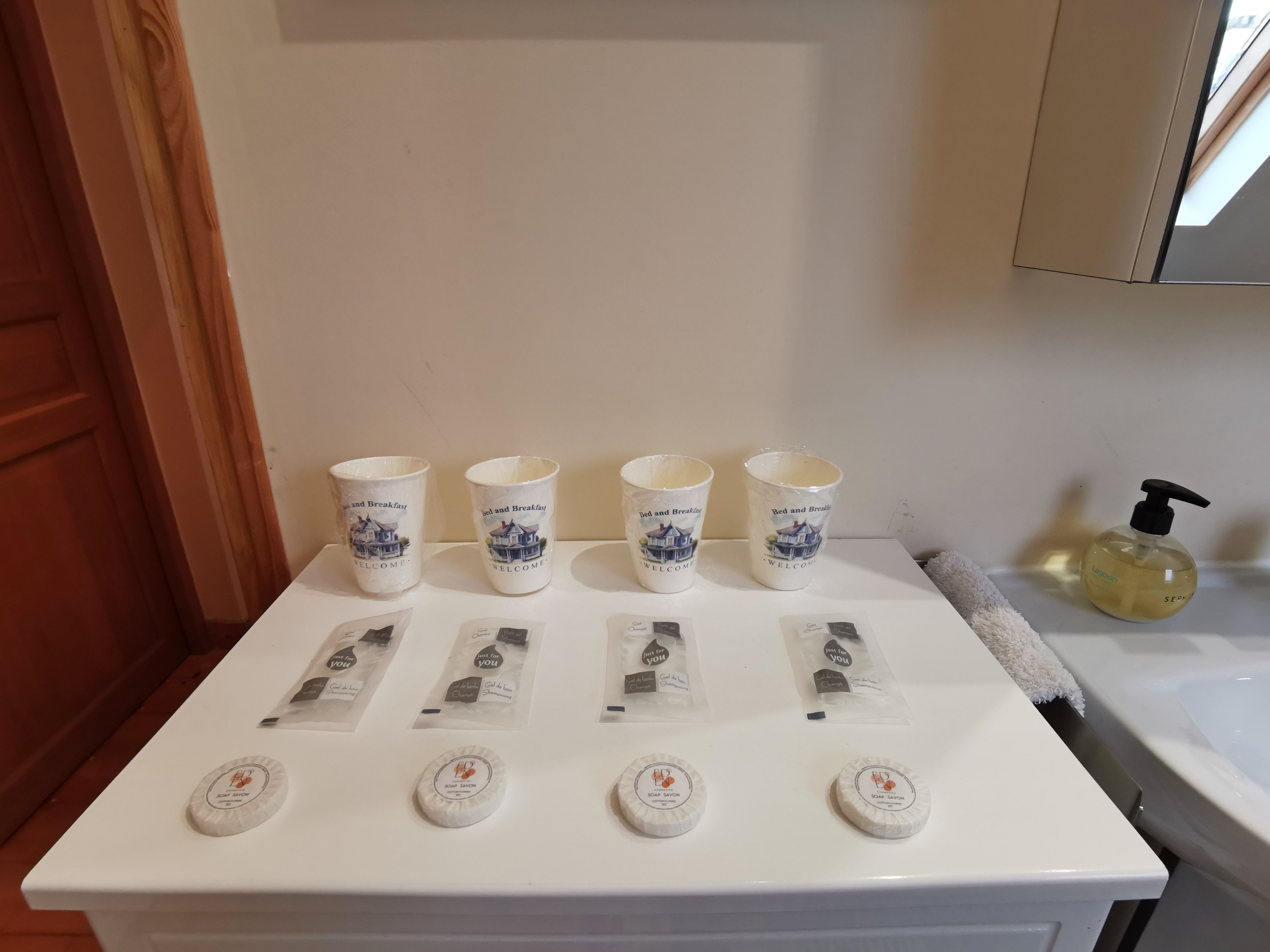 Hospitality products (soap, shower gel, shampoo)
