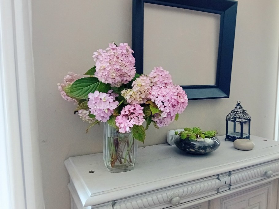 Photo n° 19 de la location