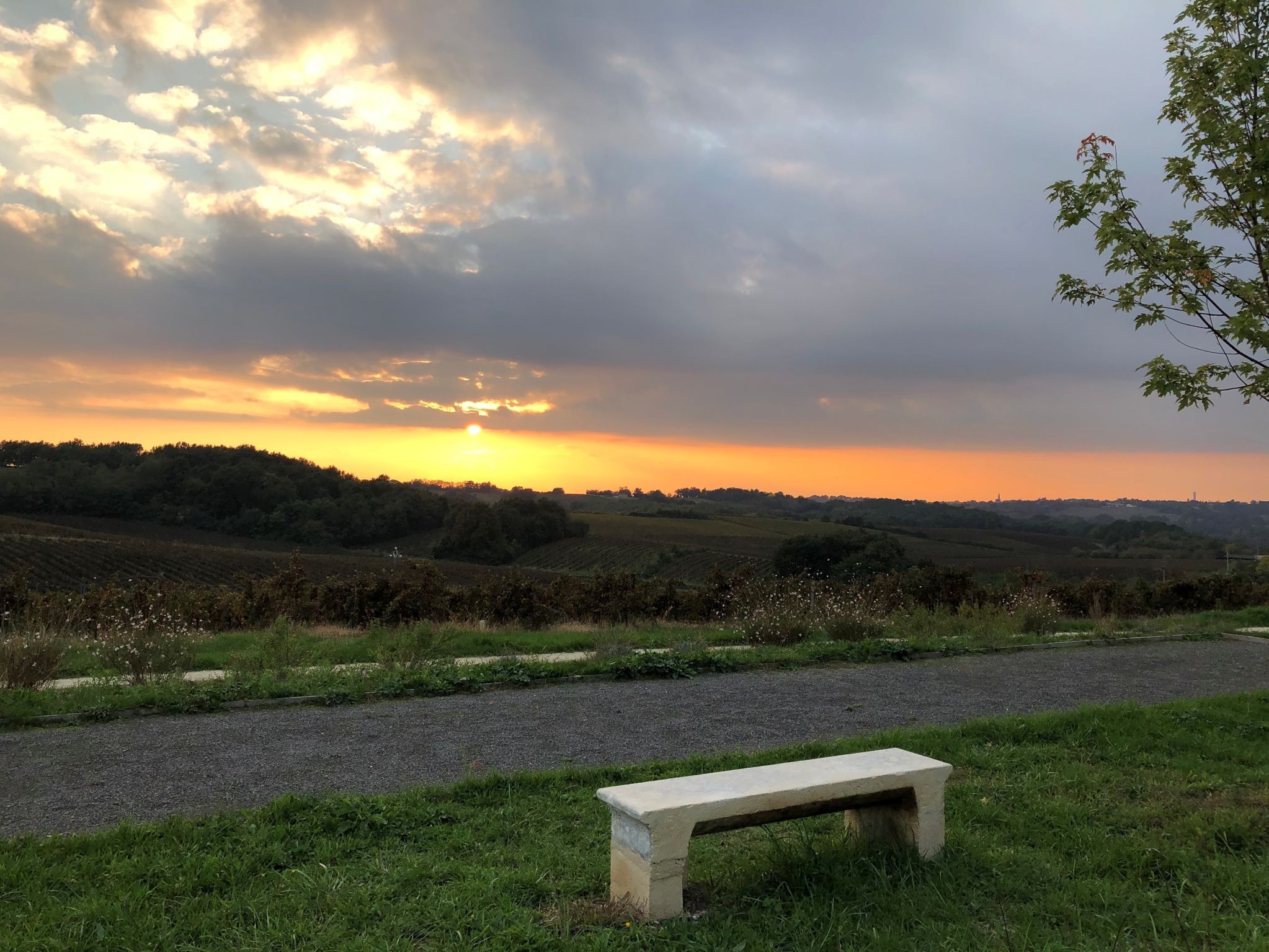 Le boulodrome avec vue plein sud