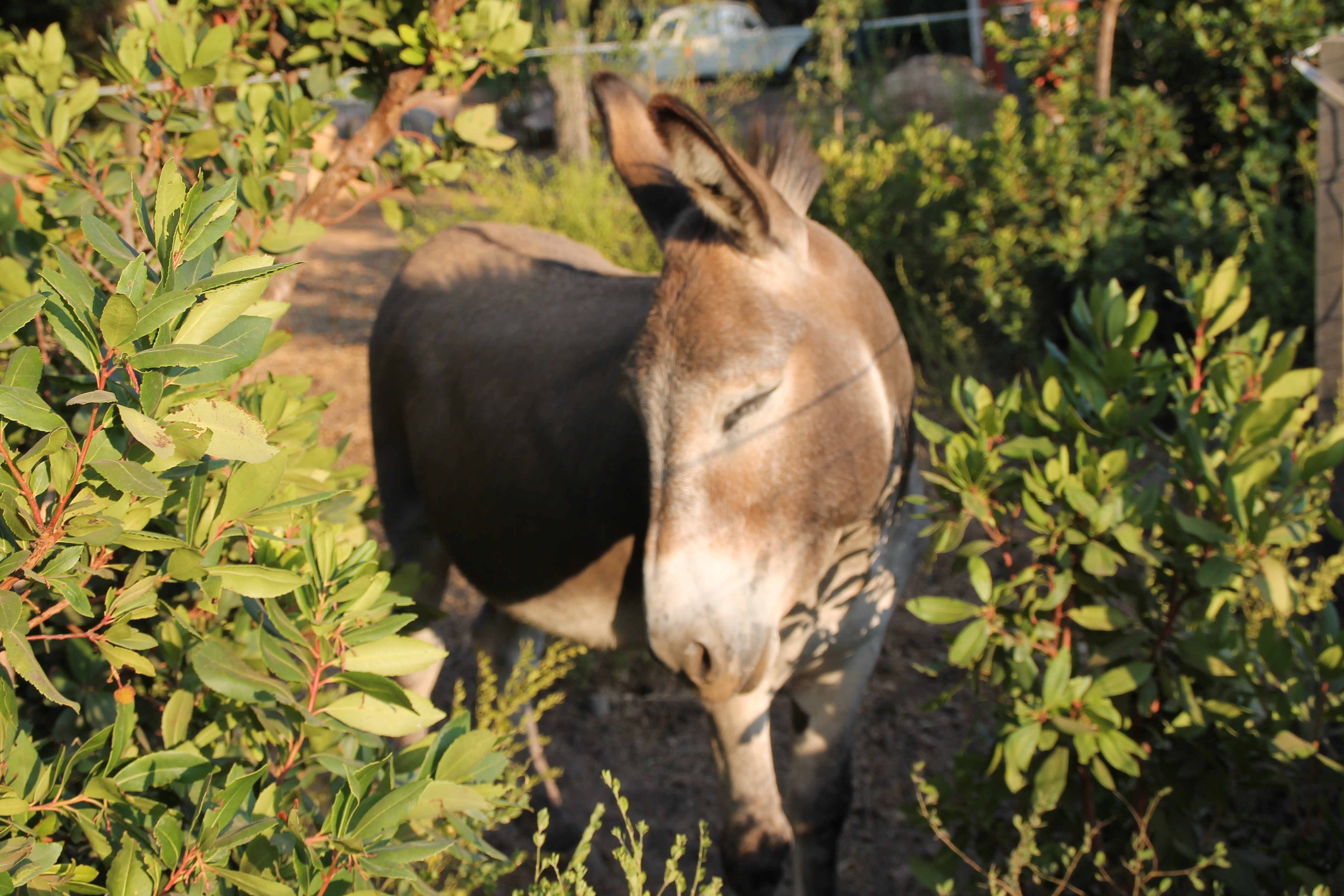 Photo n° 16 de la location