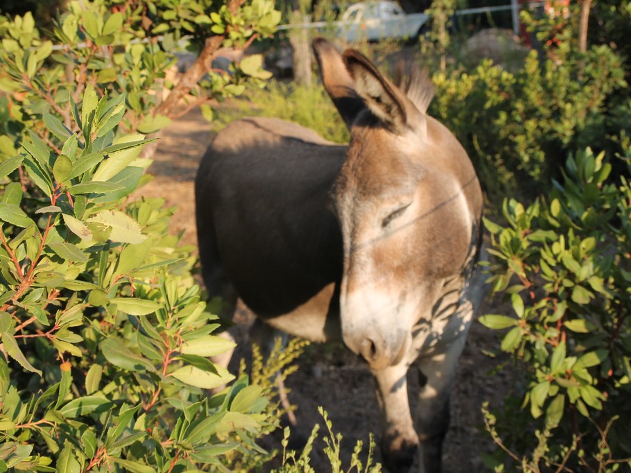 Photo n° 16 of the location