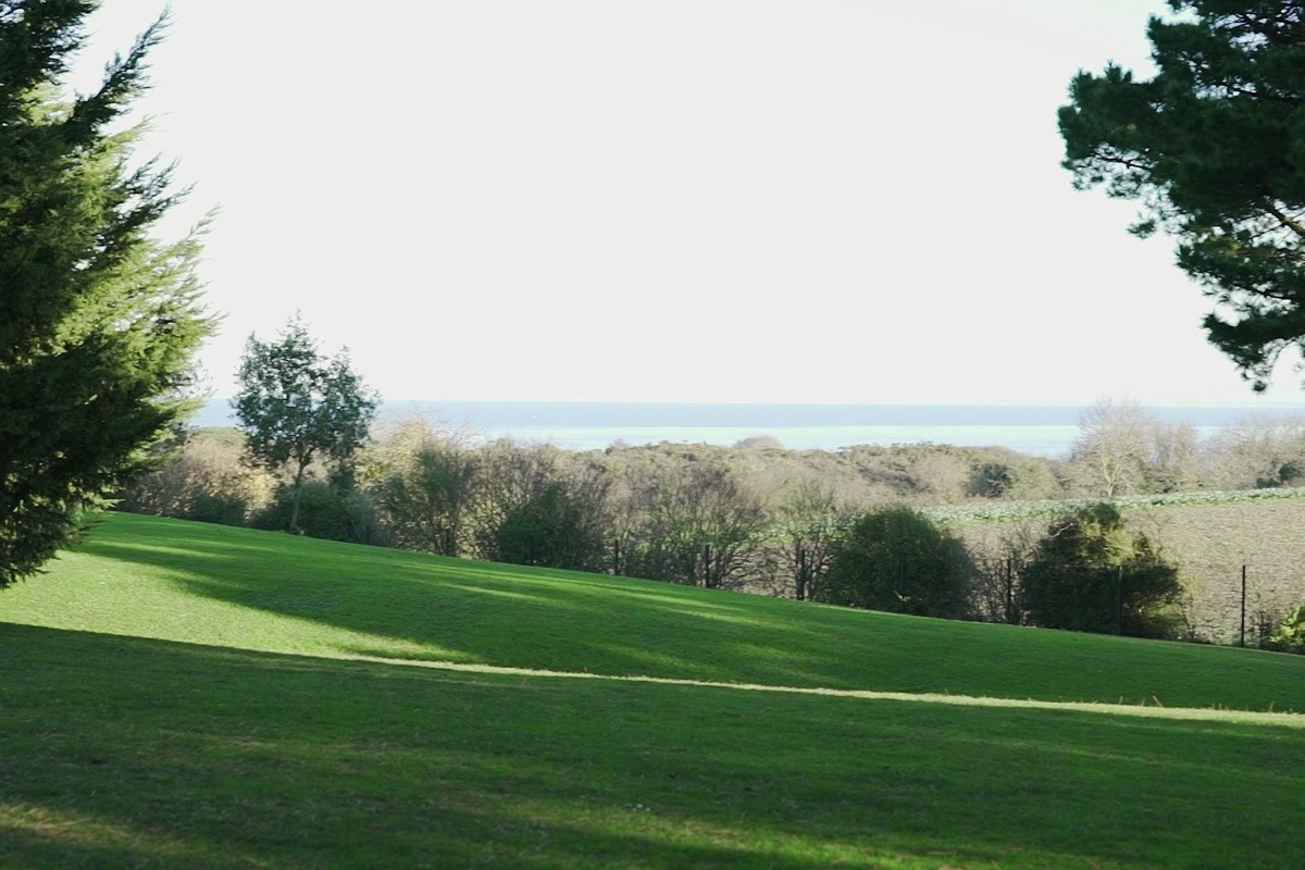 Ambiance en fin d'après-midi