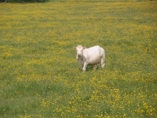 Photo n° 12 of the location