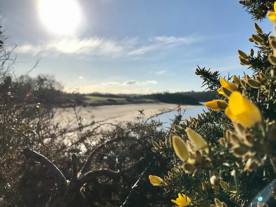 Photo n° 15 de la location