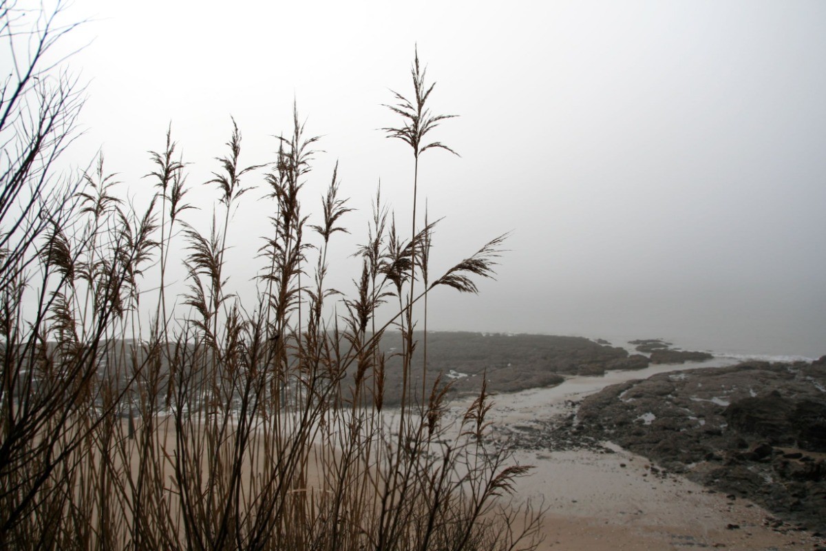 Photo n° 16 of the location