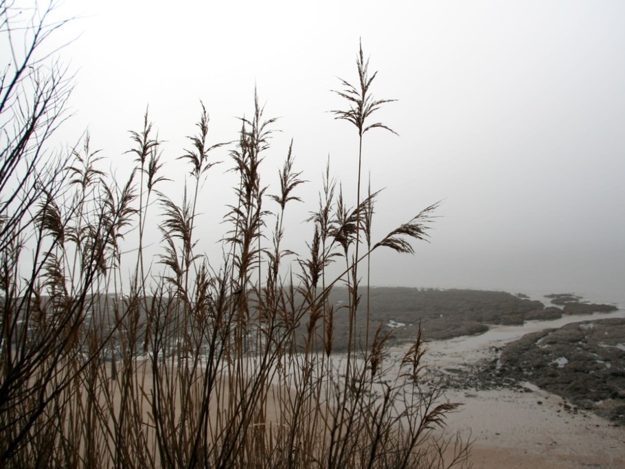 Photo n° 16 of the location