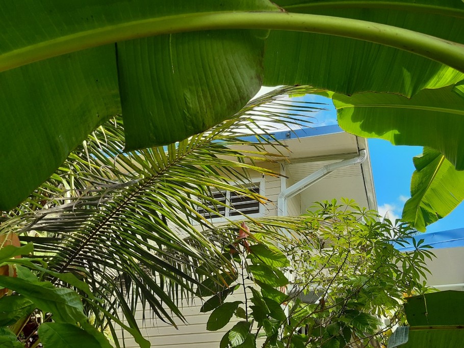 Photo n° 1 de la location