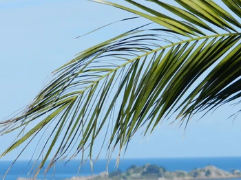 Photo n° 1 de la location