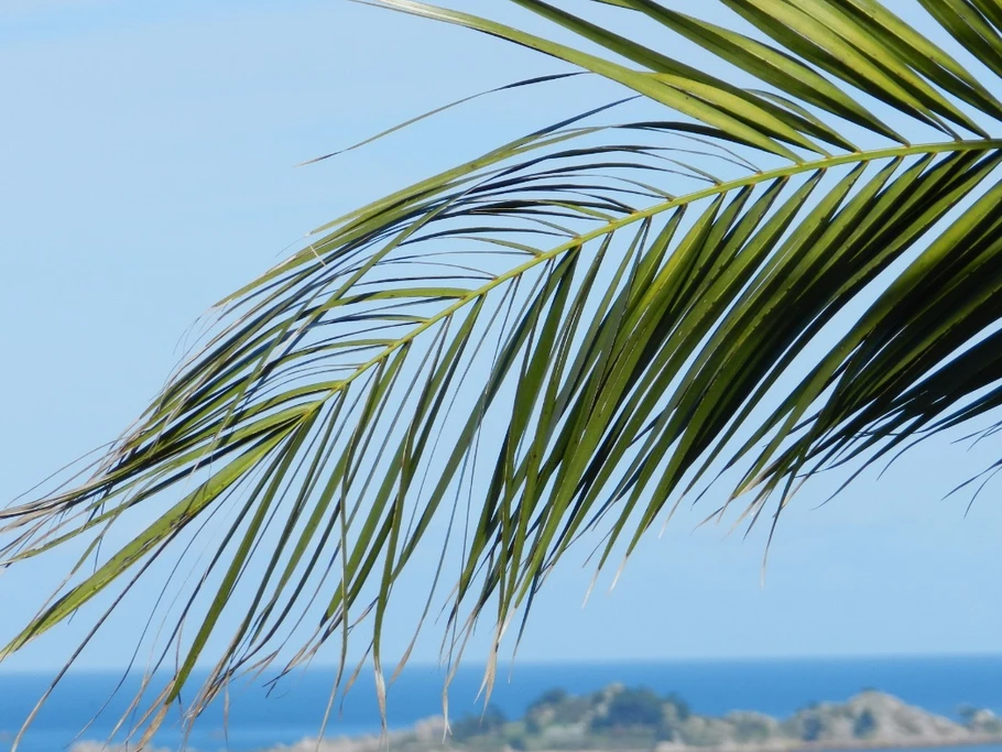 Photo n° 1 de la location