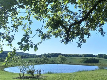 Photo n° 27 of the location