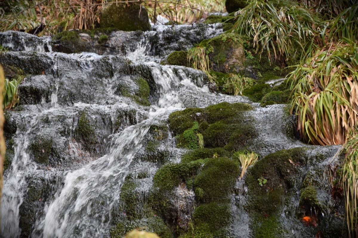 De nombreuses cascades à découvrir - Rouge Feigne