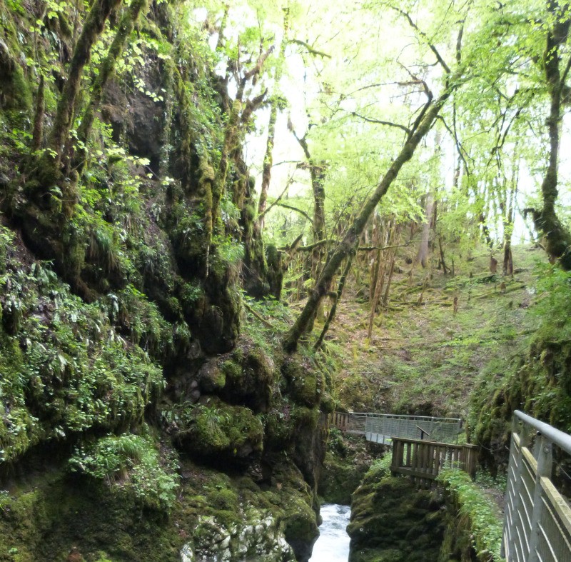 Les gorges de l'Abîme
