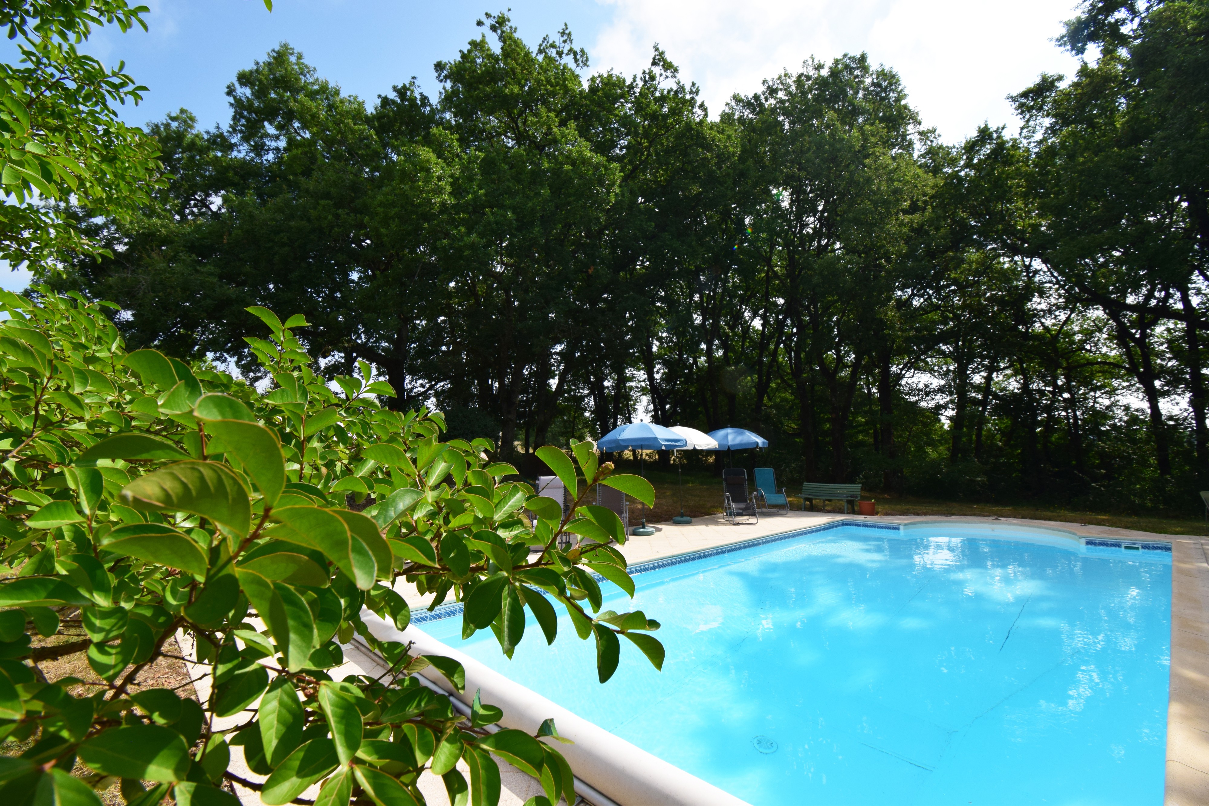 Vue piscine