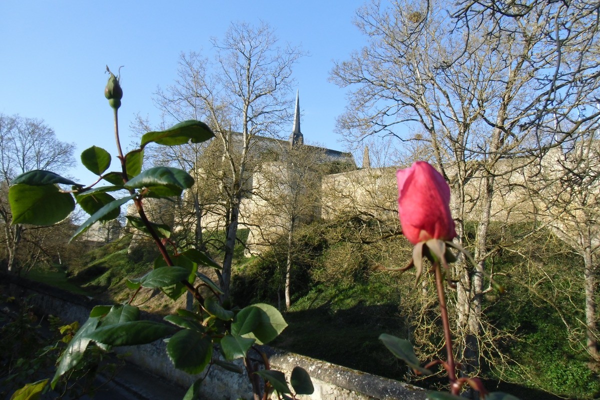 Vue du jardin