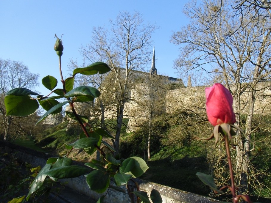 Vue du jardin