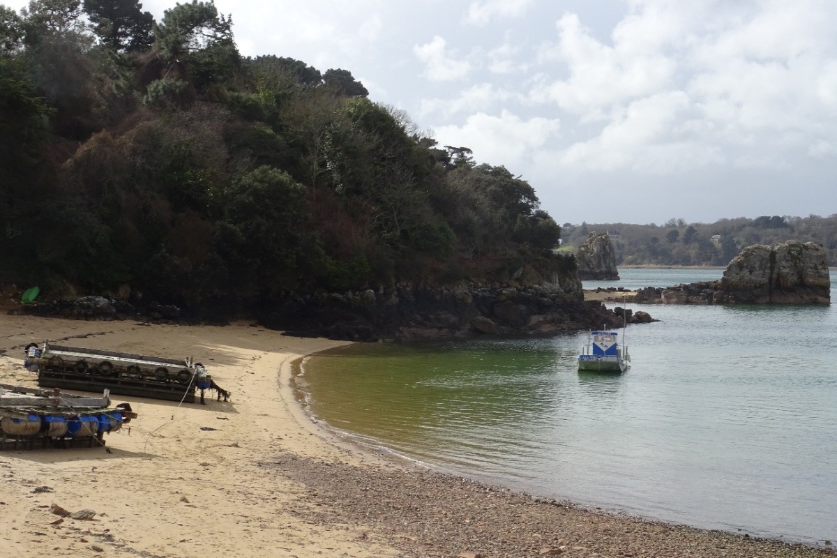 Plage de Roch'ir à 200 m de la maison