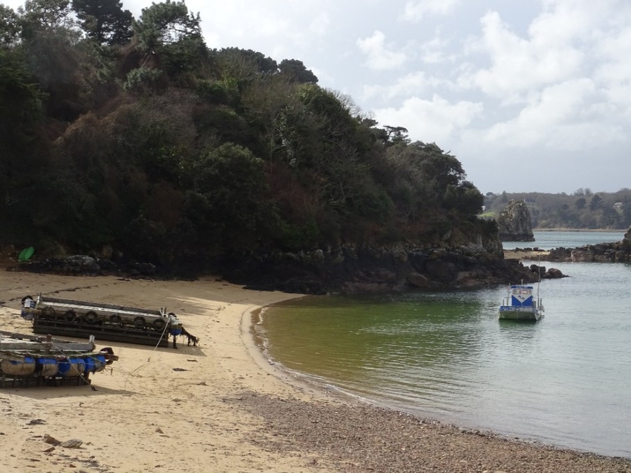 Plage de Roch'ir à 200 m de la maison