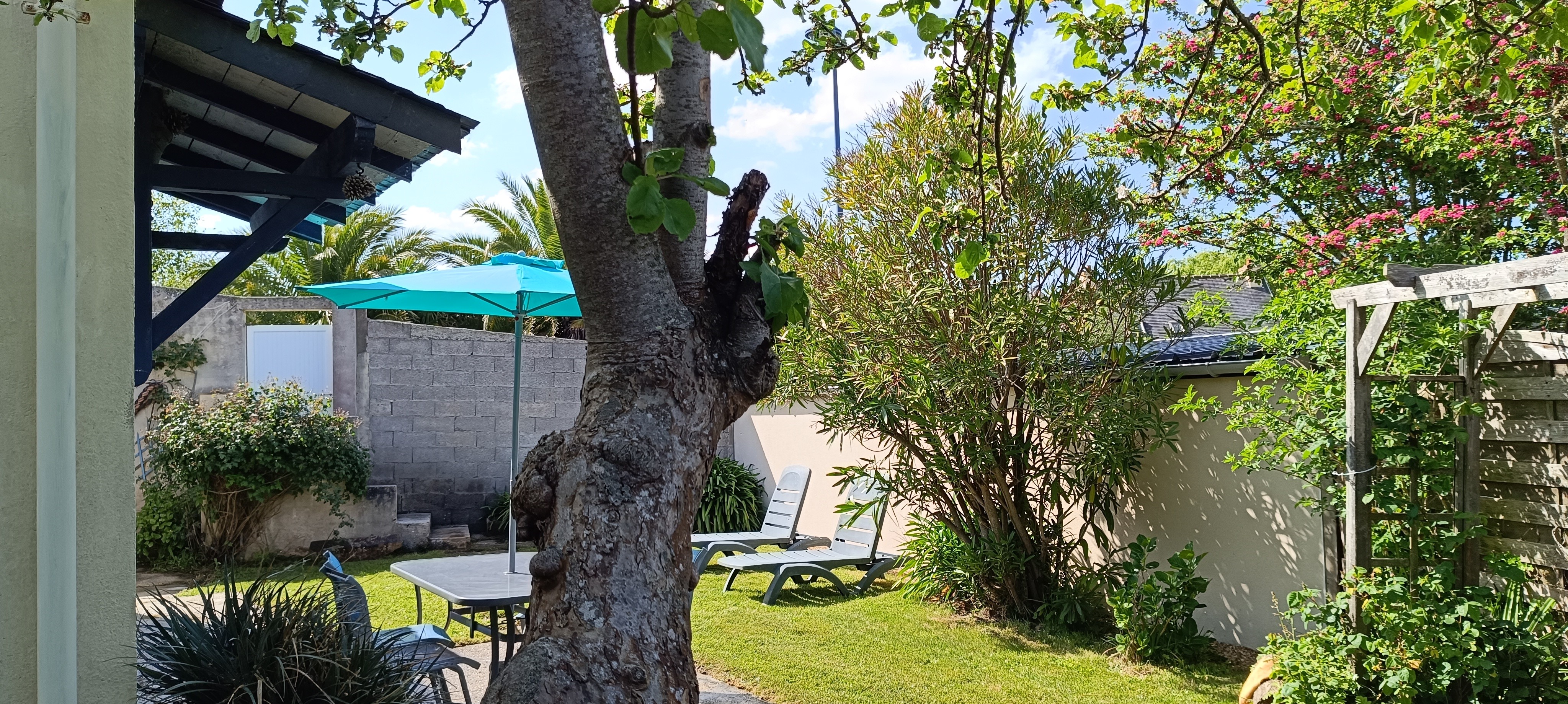jardin et salon de jardin