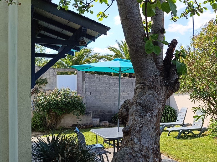 jardin et salon de jardin