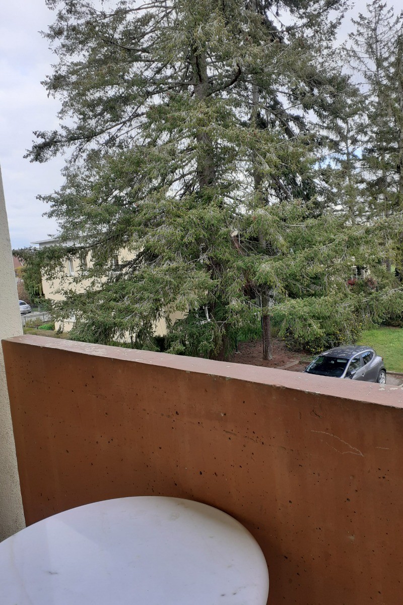 Photo n° 11 de la location